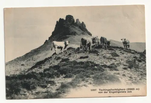 Tschingellochtighorn (2665 m) von der Engstligenalp aus