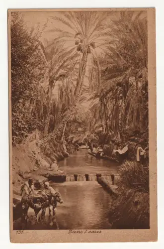 Dans l oasis.