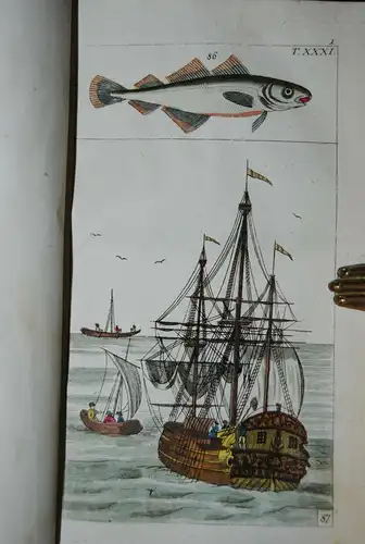 Wilhelm - Unterhaltungen aus der Naturgeschichte - Fische - 1812