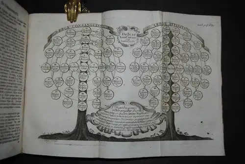 Voit - Theologia moralis ex solidis probatorum - 1769
