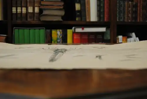 Libelle – Lithographie um 1850 – Riesenformat
