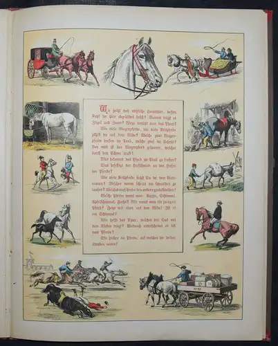 JULIUS HOFFMANN - FRAG- UND ANTWORT-BILDERBUCH - UM 1880 - ANSCHAUUNGSBÜCHER