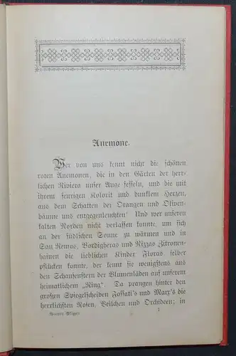 SAINTCOURT - WIENER SKIZZEN - 1890 - SEHR SELTEN UND EINZIGE AUSGABE