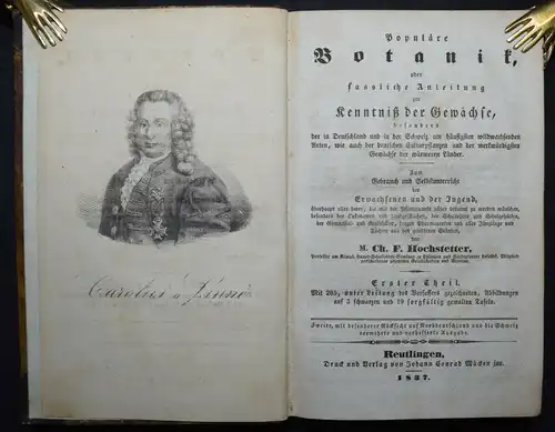 POPULÄRE BOTANIK - 1837 - CH. F. HOCHSTETTER - HANDKOLORIERTE TAFELN