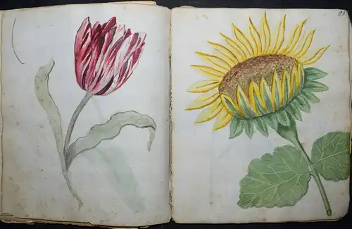 22 ORIGINAL-AQUARELLE - SEHR SCHÖNES ZEICHENBUCH EINES PÄDAGOGIK-STUDENTEN 1770