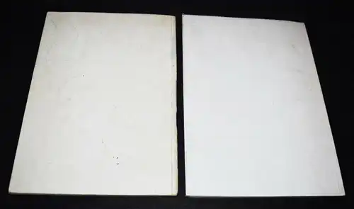 Moholy-Nagy, 60 Fotos u. Biermann, 60 Fotos BAUHAUS NEUE SACHLICHKEIT