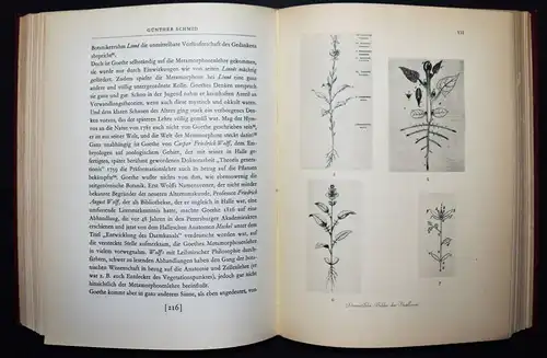 Goethe – Walther, Goethe als Seher und Erforscher der Natur SIGNIERT 1/250 Ex.