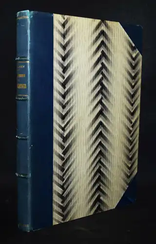 Wieselgren, Quellenstudien zur Volsungasaga MYTHOLOGIE SAGEN ISLAND SCHWEDEN 