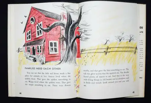 Blough, Who lives in this house? A story of animal families - ERSTE AUSGABE 1958