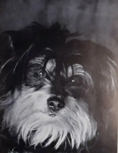 Moerkerken, Reportages in licht en schaduw 1974 ERSTE AUSGABE NIEDERLANDE 