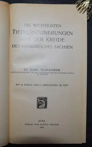 Die wichtigsten Tierversteinerungen von Karl Wanderer mit 12 Tafeln - 1909