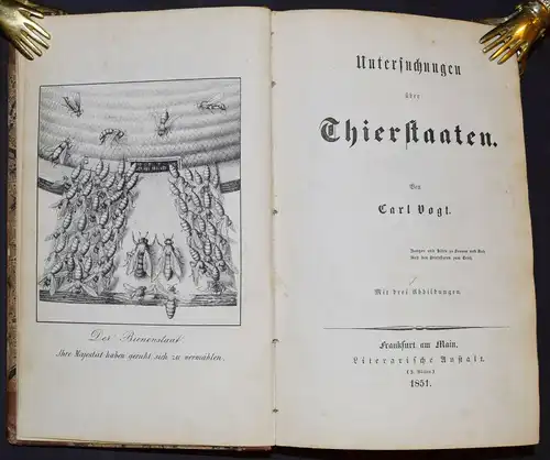 Vogt. Untersuchung über Thierstaaten - Satire - Revolution 1848 1849