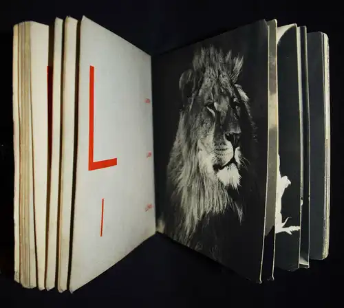 Sougez, Alphabet - 1923 - NEUE SACHLICHKEIT Photobilderbuch Kleinkind-Bilderbuch