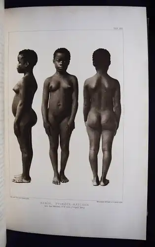 Stuhlmann. Mit Emin Pascha ins Herz von Afrika 1894 REISEBESCHREIBUNG OSTAFRIKA 