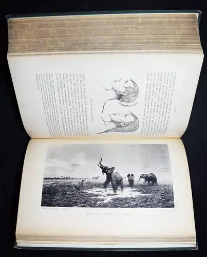 Stuhlmann. Mit Emin Pascha ins Herz von Afrika 1894 REISEBESCHREIBUNG OSTAFRIKA 