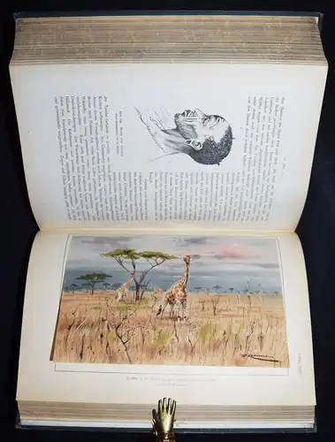 Stuhlmann. Mit Emin Pascha ins Herz von Afrika 1894 REISEBESCHREIBUNG OSTAFRIKA 