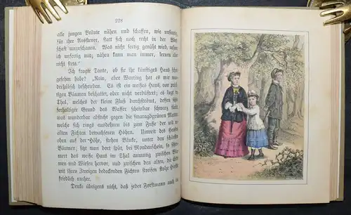 Stein, 52 Sonntage - um 1880 LITHOGRAPHIEN HANDKOLORIERT Hosemann Winckelmann