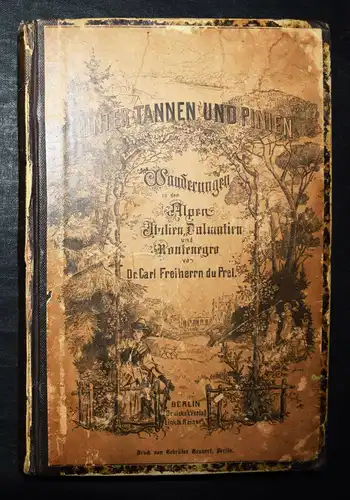 Du Prel, Unter Tannen und Pinien 1875 - ALPINISMUS DALMATIEN ITALIEN