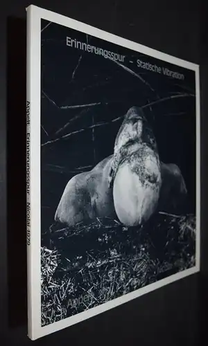 Appelt, Erinnerungsspur – Statische Vibration SIGNIERT 1/100+ ORIG.-PHOTOGRAPHIE