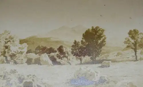 Horaz - Horatius -Opera 1855 ALBUMINABZÜGE MAROQUINEINBAND ANTIKE ALTPHILOLOGIE