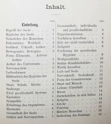 Reich, Die Geschichte der Seele, die Hygieine des Geisteslebens BRUNS 1884