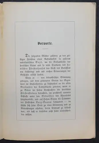 SKIZZEN-BLÄTTER ÜBER BADEN’S FÜRSTENHAUS - J. BADER - 1854 - ADEL - BADENIA