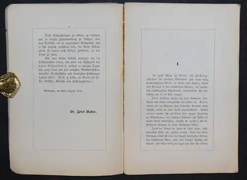 SKIZZEN-BLÄTTER ÜBER BADEN’S FÜRSTENHAUS - J. BADER - 1854 - ADEL - BADENIA