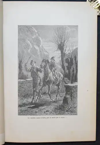 Du Bois-Melly, Nouvelles montagnardes - 1884 - Ornées de 58 dessins par G. Roux