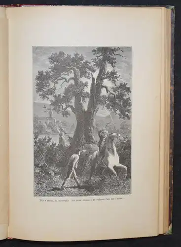 Du Bois-Melly, Nouvelles montagnardes - 1884 - Ornées de 58 dessins par G. Roux