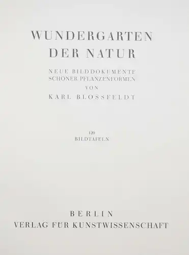 Karl Blossfeldt. Wundergarten der Natur - 1932 - BOTANIK