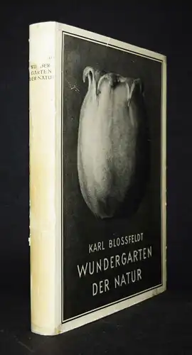 Karl Blossfeldt. Wundergarten der Natur - 1932 - BOTANIK