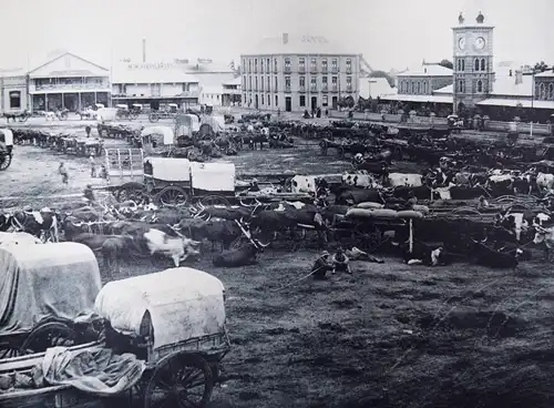 SÜDAFRIKA REISEBESCHREIBUNG - Photographs of South Africa - 1894 - TRAVEL