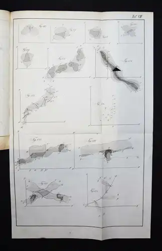 Doppler, Versuch einer Erweiterung der analytischen Geometrie...1843 MATHEMATIK