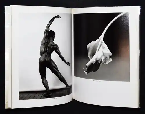 Takano, Robert Mapplethorpe. Tokyo, Parco Co. Ltd 1987 D. Hershkovits - D. Levas