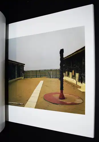 Vogt, Streift Licht über den Flügel