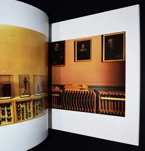 Vogt, Streift Licht über den Flügel