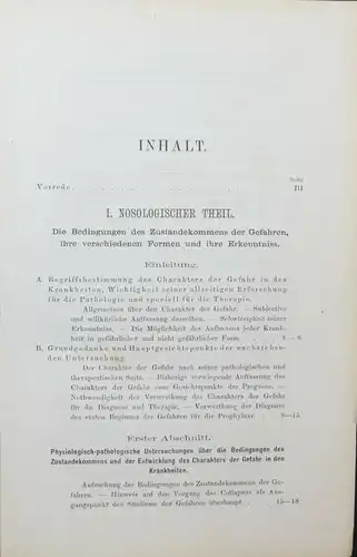 DIE ENTSTEHUNG DER GEFAHR IM KRANKHEITSVERLAUFE - LEOPOLD POLITZER - 1878