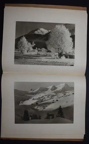 Dubler, Das Buch der Jahreszeiten - ALPEN ÖSTERREICH SCHWEIZ