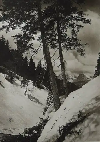 Dubler, Das Buch der Jahreszeiten - ALPEN ÖSTERREICH SCHWEIZ