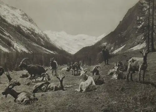 Dubler, Das Buch der Jahreszeiten - ALPEN ÖSTERREICH SCHWEIZ