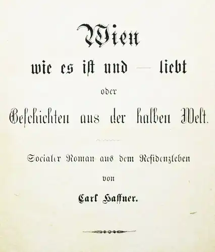 Haffner, Wien wie es ist und – Liebt - 1871 TRIVIALLITERATUR - SITTENGESCHICHTE