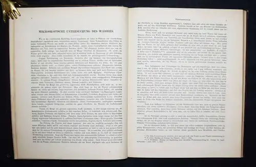 Eyferth, Die einfachsten Lebensformen des Thier- und Pflanzenreiches 1885