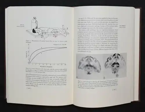 Fishman, Circulation of the blood - Blut - Blutkreislauf - Cardiovas