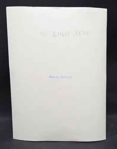 Woody Allen, Original-Vinage-Photograph MAENZA 1971 Photo FOTO Photographie