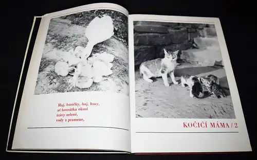 Hrubin, Dobry den, Slunicko 1971 TIERFOTOGRAFIE KATZEN HUNDE Photobilderbuch