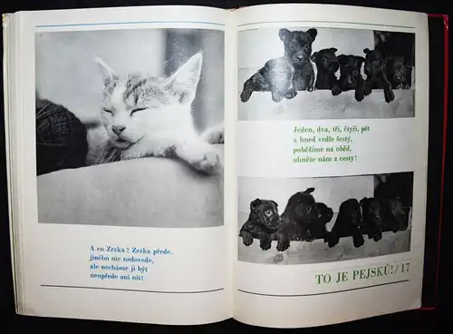 Hrubin, Dobry den, Slunicko 1971 TIERFOTOGRAFIE KATZEN HUNDE Photobilderbuch