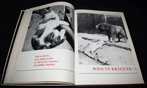 Hrubin, Dobry den, Slunicko 1971 TIERFOTOGRAFIE KATZEN HUNDE Photobilderbuch