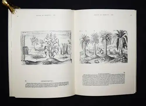 Hirschberg, Schwarzafrika - 1962 - AFRIKA - AFRICA VÖLKERKUNDE ETHNOLOGIE