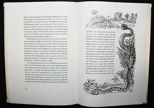 Ernst Jünger - Myrdun - 1948 - ILLUSTRATIONEN von Alfred Kubin - NUMMERIERT 