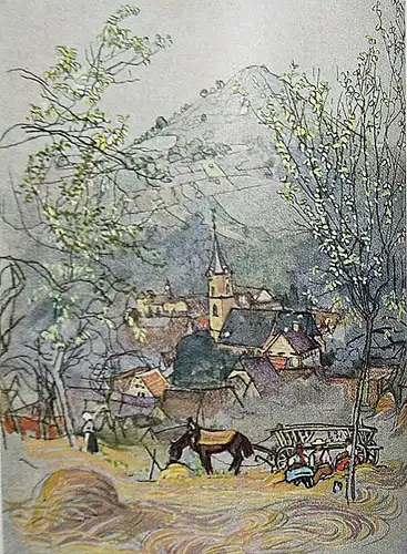 Finckh, Der Bodenseher - 1914 ERSTE AUSGABE NUMMERIERT 1/150 Illustr. K. Stirner